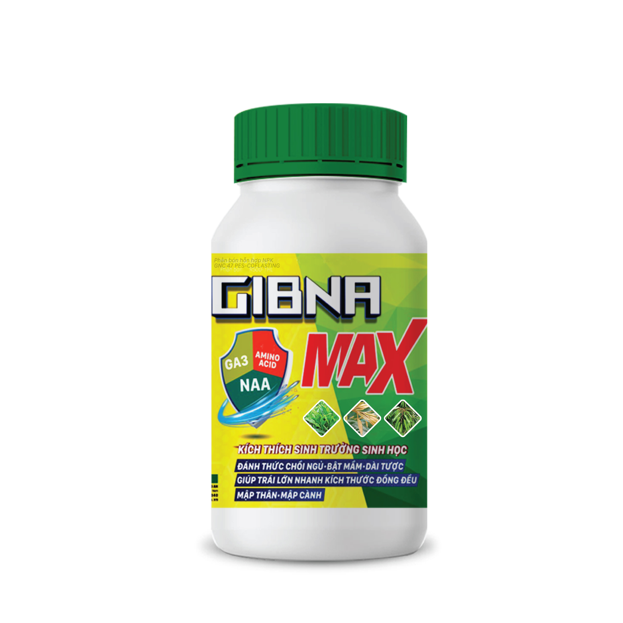 GibnaMax