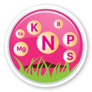 PHÂN KALI TRUNG LƯỢNG